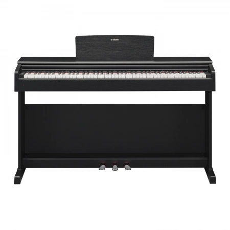 Изображение 2 (Клавинова Yamaha YDP-144B)