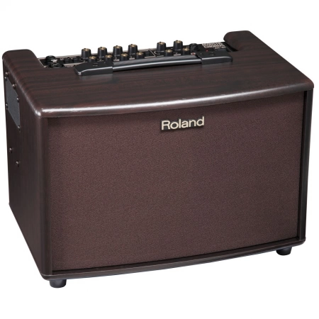 Изображение 1 (Комбо для акустических гитар ROLAND AC-60RW)