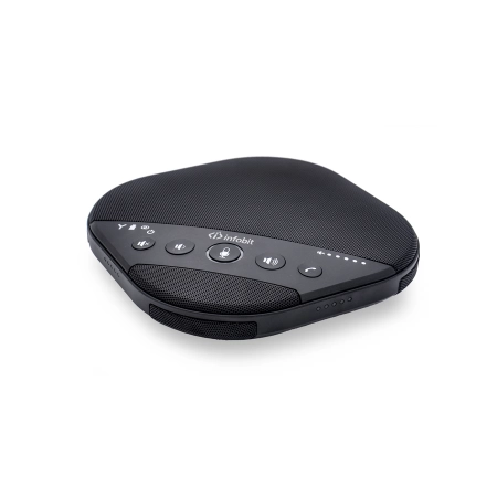 Комплект беспроводных всенаправленных спикерфонов Infobit iSpeaker M600