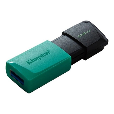 Флешка USB Flash Kingston DataTraveler Exodia M DTXM/256GB