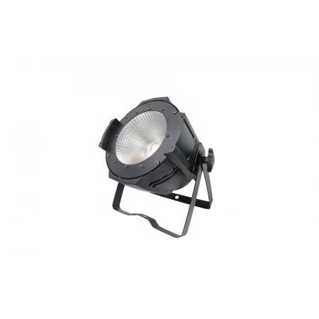 Прожектор Bristage PAR100