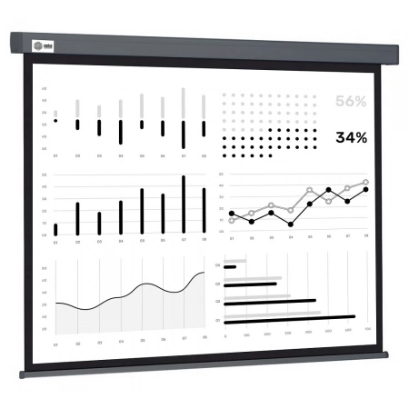 Экран рулонный подпружиненный CACTUS Wallscreen CS-PSW-180X180-SG