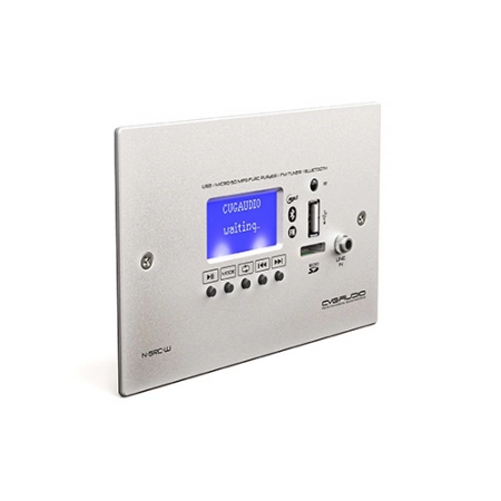 Изображение 1 (Внешний настенный MP3/BLUETOOTH/FM модуль CVGaudio N-SRC-W)