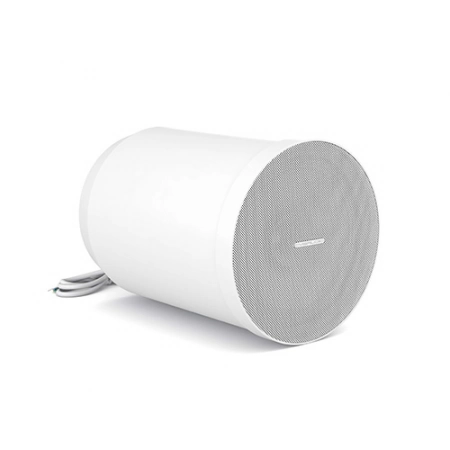 Изображение 1 (Подвесной 6,5” широкополосный громкоговоритель CVGaudio SPC6TW)