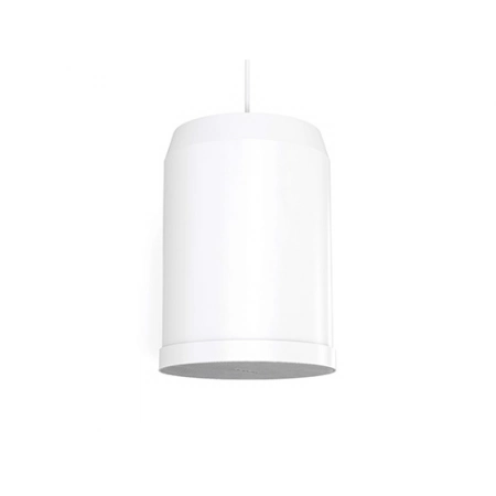 Изображение 4 (Подвесной 6,5” широкополосный громкоговоритель CVGaudio SPC6TW)