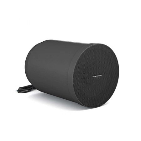 Изображение 1 (Подвесной 6,5” широкополосный громкоговоритель CVGaudio SPC6TBL)