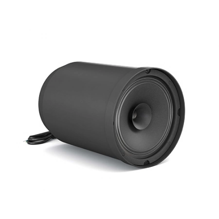 Изображение 6 (Подвесной 6,5” широкополосный громкоговоритель CVGaudio SPC6TBL)