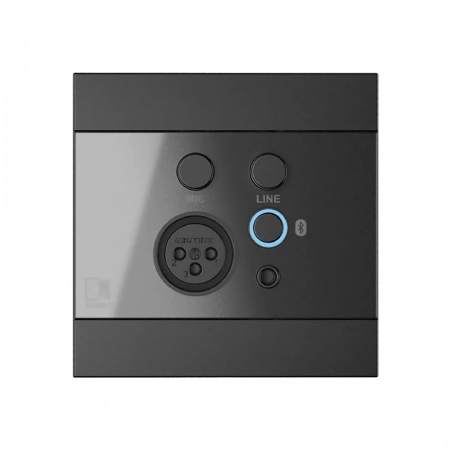 Изображение 1 (Панель удалённого микшера с Bluetooth-приёмником Audac WP225/B)
