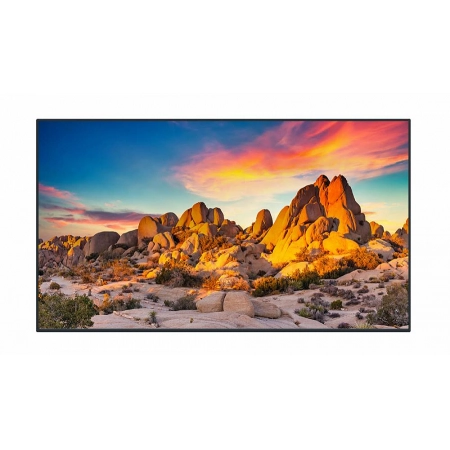 Профессиональный дисплей Panasonic TH-98SQE1W_EURO