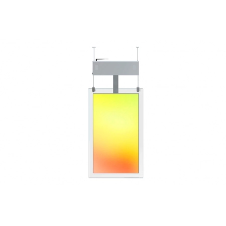 Тонкий двусторонний дисплей серии Clear крепление к потолку Lumien LCAD5501FHD