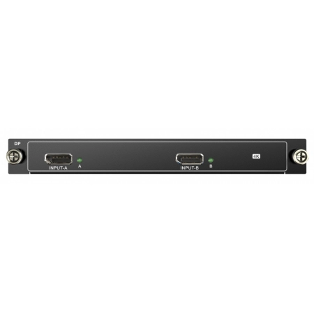 Плата бесподрывная входная Digis VWP-I2-S4K30-DP