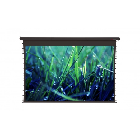 Изображение 1 (Моторизированный потолочный экран Viewscreen RG-350F16*10)