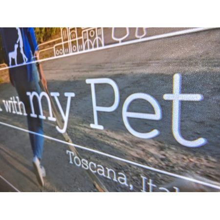 Изображение 9 (Проектор для домашних развлечений Classic Solution CS-E01)