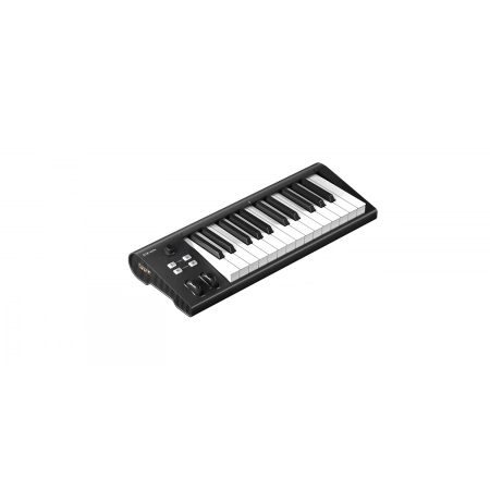 MIDI клавиатура Icon Artist 25