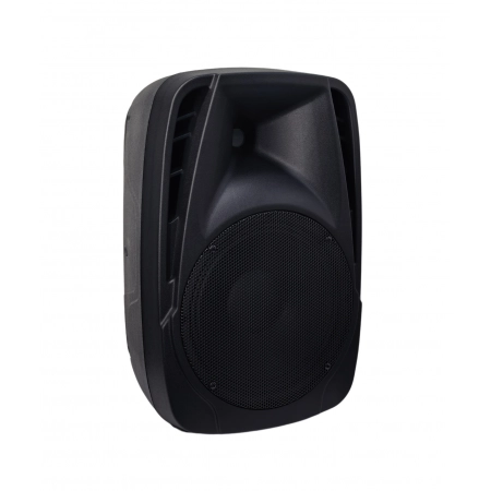 Акустическая система Axelvox LoudStage XIVA PA10