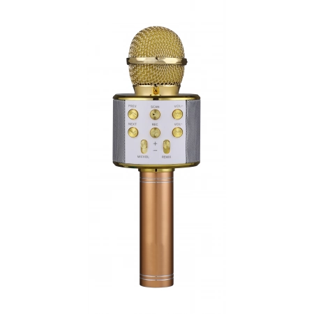 Беспроводной микрофон FunAudio G-800 Gold