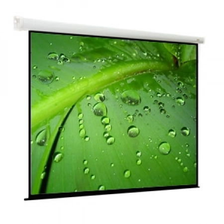 Изображение 1 (Экран моторизированный настенно-потолочного крепления Viewscreen EBR-1107)
