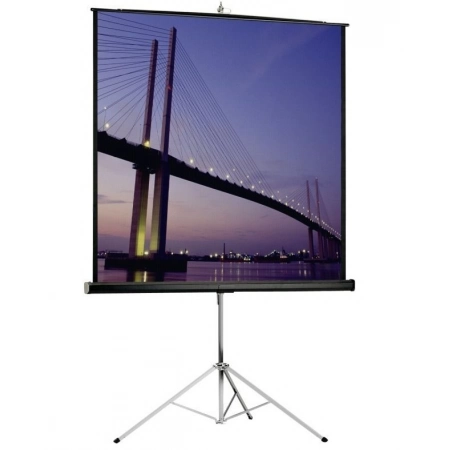 Изображение 2 (Экран на штативе Viewscreen Clamp Pro AV (1:1) 334/137'' 244*244 (236*236) MW TCP-1106)