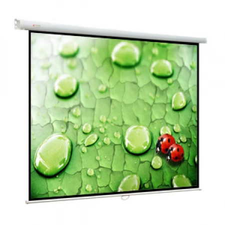 Изображение 1 (Экран ручной настенно-потолочного крепления Viewscreen Lotus NTSC (4:3) 491/201'' 406*305 (394*293) MW)