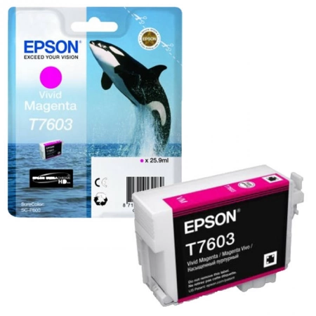 Изображение 1 (Картридж Epson C13T76034010)