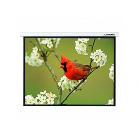 Изображение 1 (Экран настенный Master Picture Lumien LMP-100118)