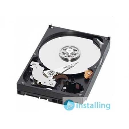 Жесткий диск Western Digital WD2003FZEX