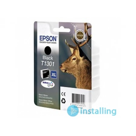 Изображение 1 (Картридж Epson C13T13014010)