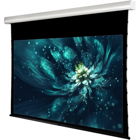 Изображение 3 (Моторизированный экран с системой натяжения tab –tension Viewscreen Premium  LF-MC100(16:9)WW5(AACW))