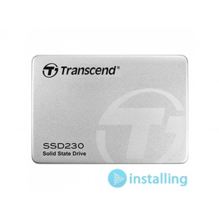 SSD накопитель Transcend TS256GSSD230S