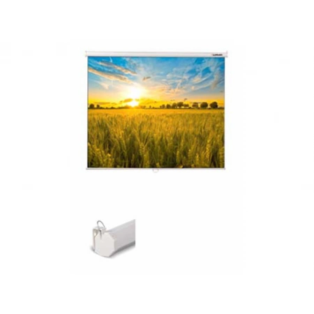 Изображение 1 (Экран презентационный настенный Lumien LEP-100103)